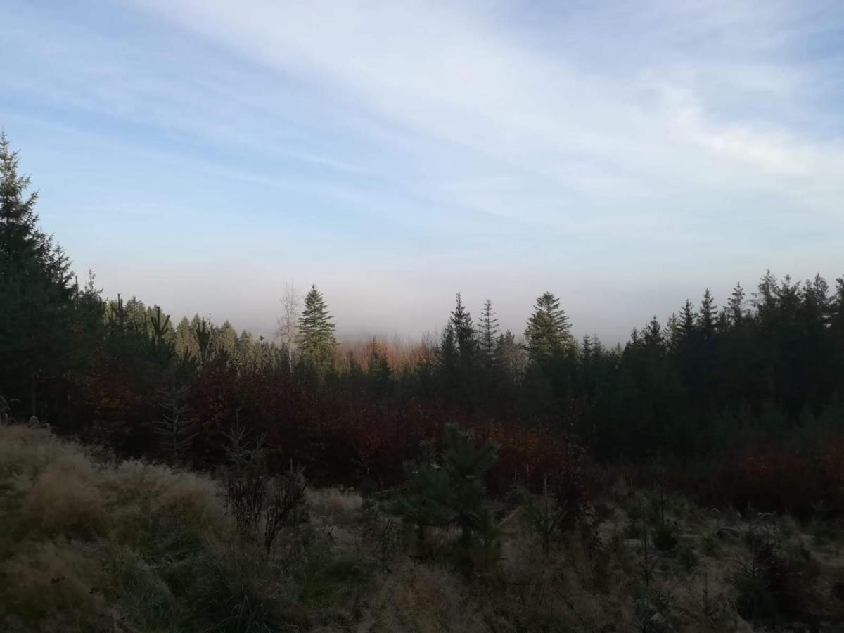 Novohradky - Oaza Klidu Na Samote U Lesa *