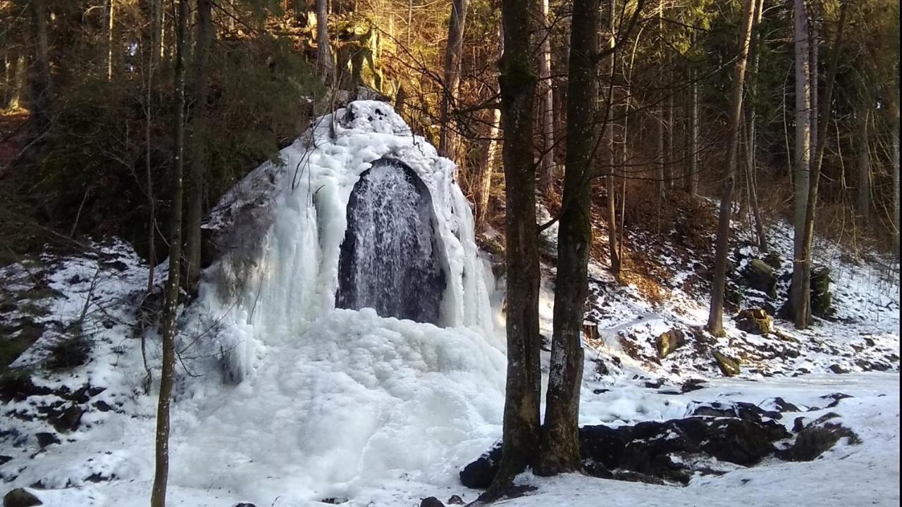 Novohradky - Oaza Klidu Na Samote U Lesa