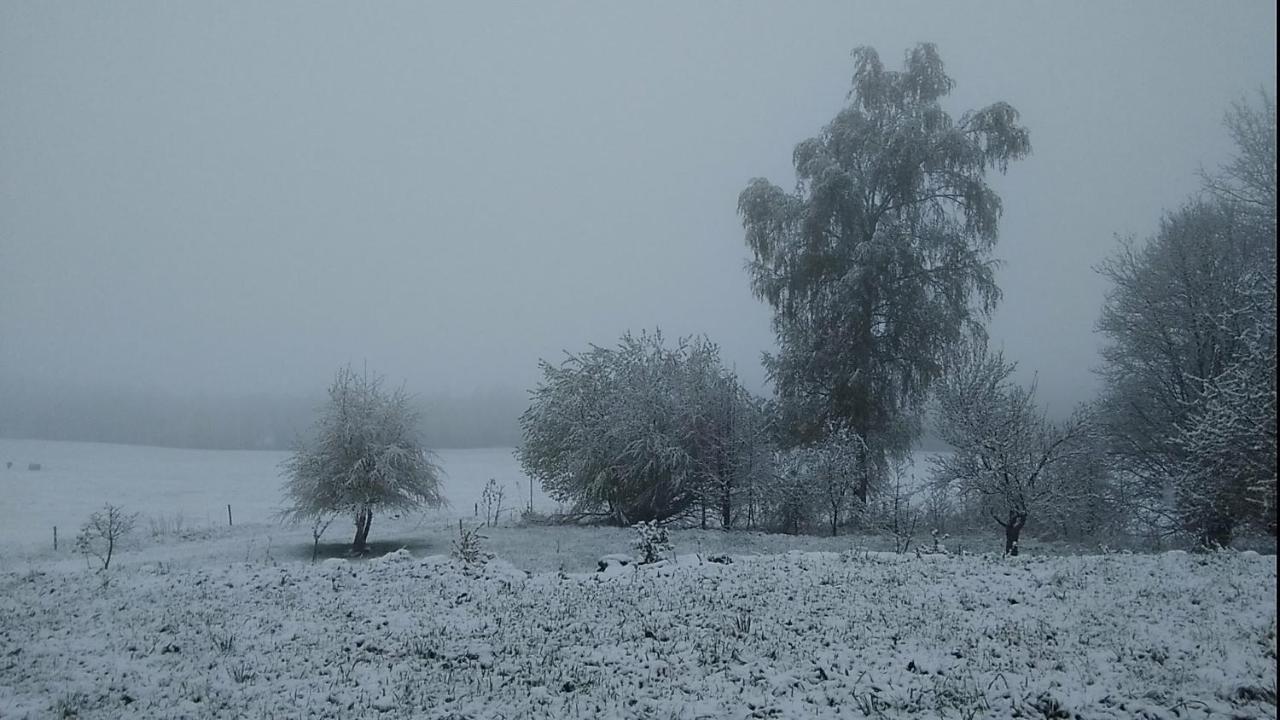 Novohradky - Oaza Klidu Na Samote U Lesa